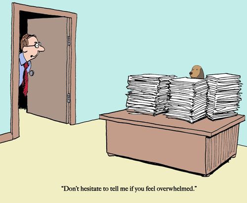 "Don't hesitate to tell me if you feel overwhelmed."