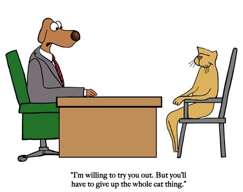 "I'm willing to try you out. But you'll have to give up the whole cat thing."
