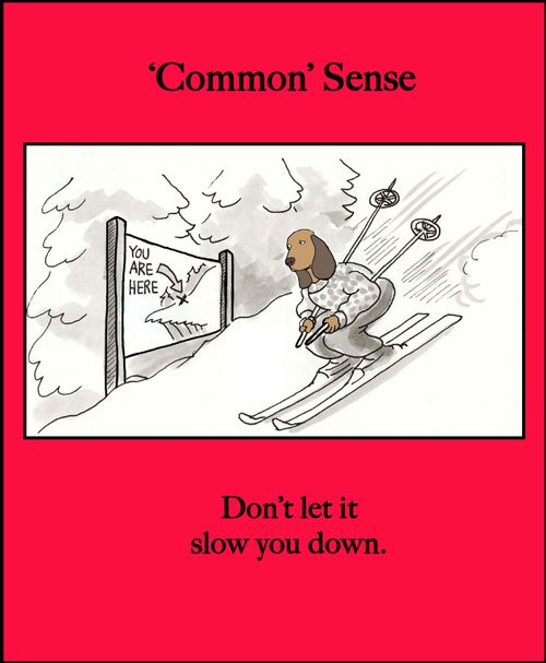 'Common' Sense - Don't let it slow you down.