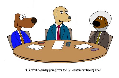 "Ok, we'll begin by going over the P/L statement line by line."