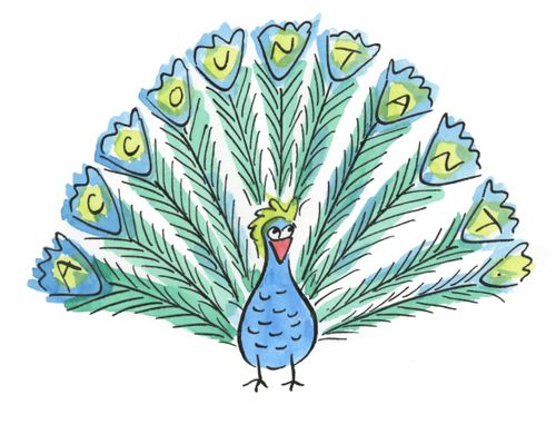 Accountant Peacock