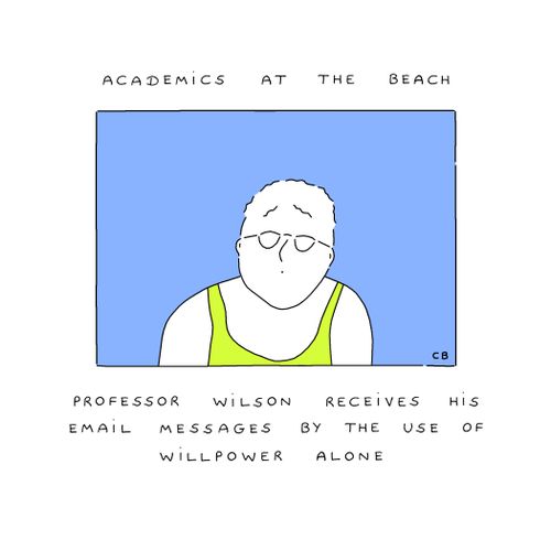 Academics at the Beach: Professor Wilson receives his email messages by the use of willpower alone.