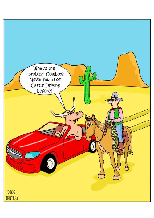 "What's the problem Cowboy? Never heard of Cattle Driving before?"
