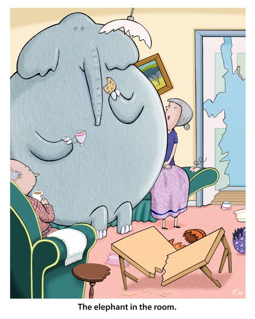 The elephant in the room.