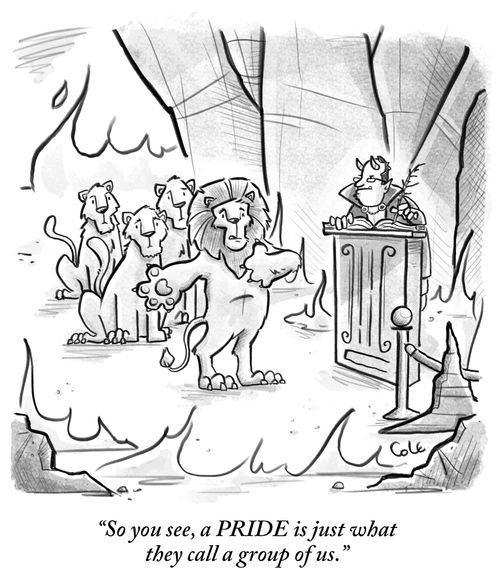 "So you see, a PRIDE is just what they call a group of us."