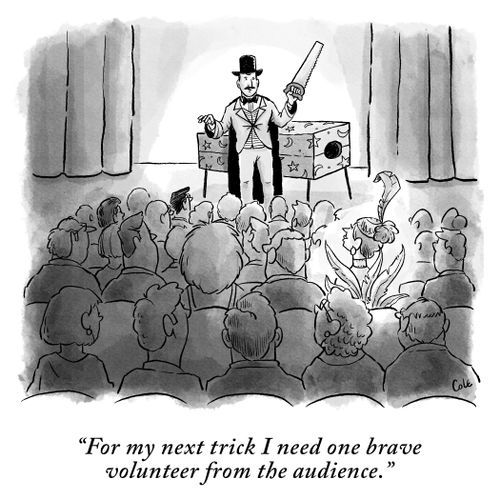 "For my next trick I need one brave volunteer from the audience."
