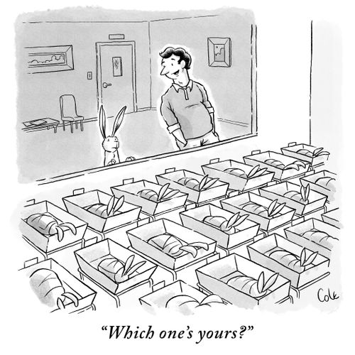 "Which one's yours?"