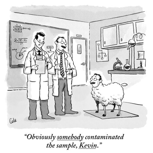 "Obviously somebody contaminated the sample, Kevin."