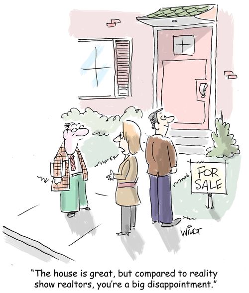 "The house is great, but compared to reality show realtors, you're a big disappointment."