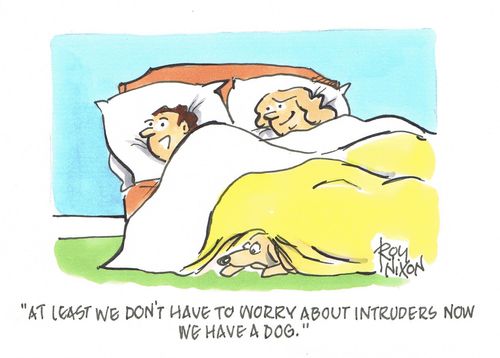 "At least we don't have to worry about intruders now we have a dog."