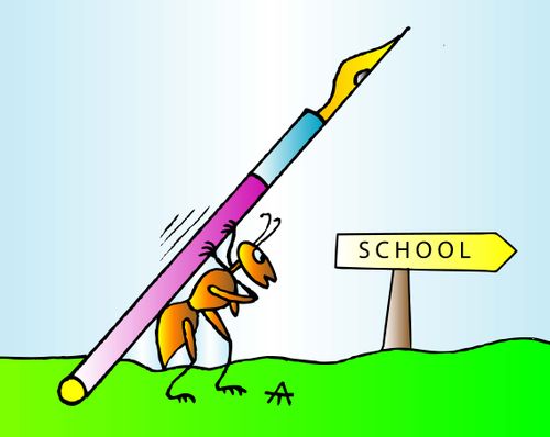 School