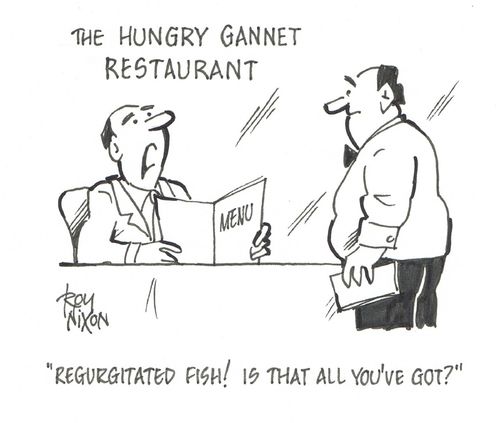 "Regurgitated fish! Is that all you've got?"