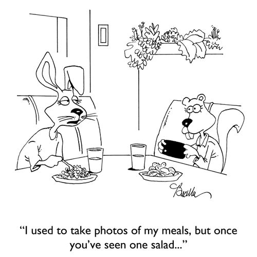 "I used to take photos of my meals, but once you've seen one salad..."