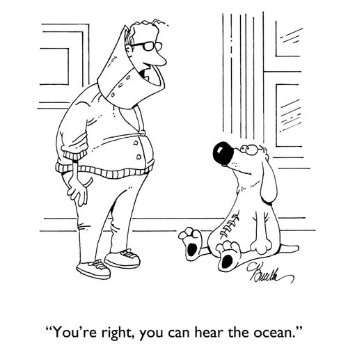 "You're right, you can hear the ocean."