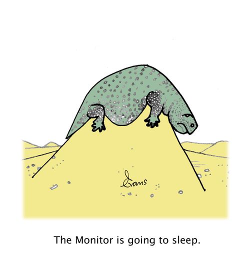 The Monitor is going to sleep.