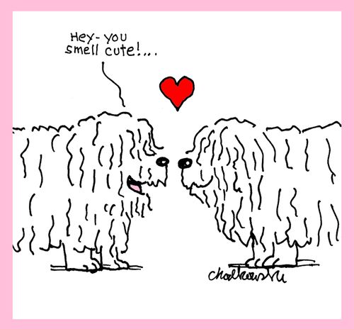 "Hey - you smell cute!. . ."