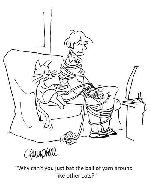 "Why can't you just bat the ball of yarn around like other cats?"