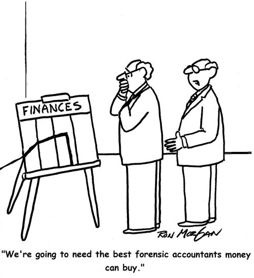 "We're going to need the best forensic accountants money can buy."