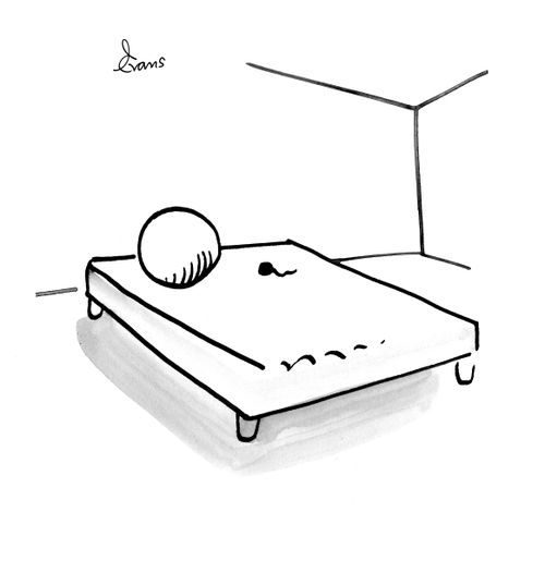 The sperm and the egg: romance in action