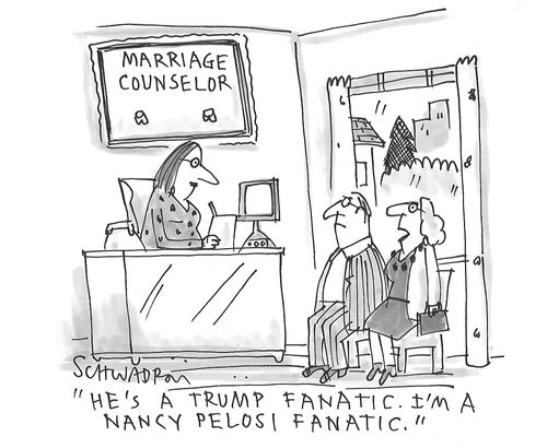 "He's a Trump fanatic. I'm a Nancy Pelosi fanatic."