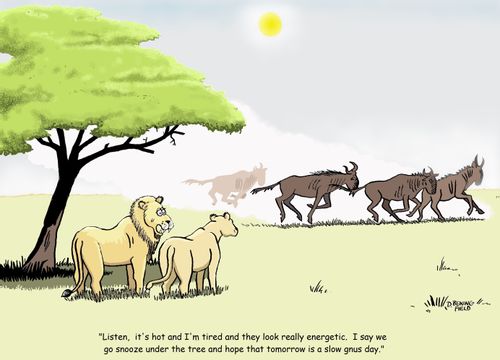 "Listen, it's hot and I'm tired and they look really energetic. I say we go snooze under the tree and hope that tomorrow is a slow gnus day."