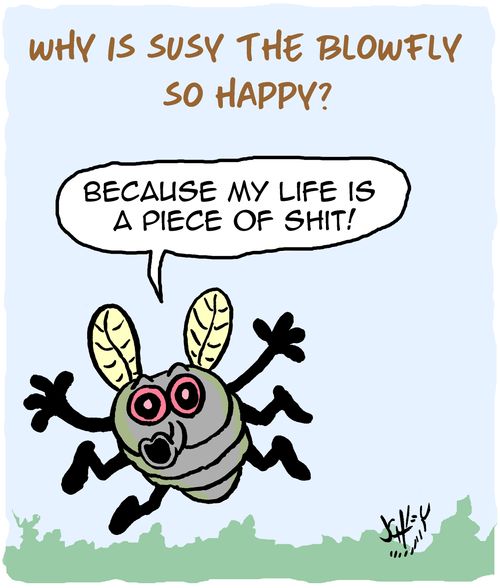 Why is Susy the blowfly so happy?