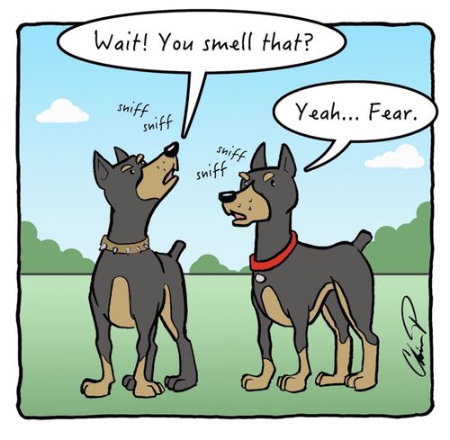 The Smell of Fear