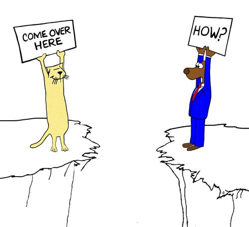 Cat holds sign that says 'come over here', dog holds a sign that says 'how?'