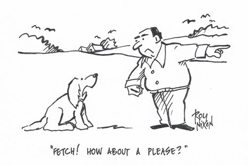 "Fetch! What about a please?" 