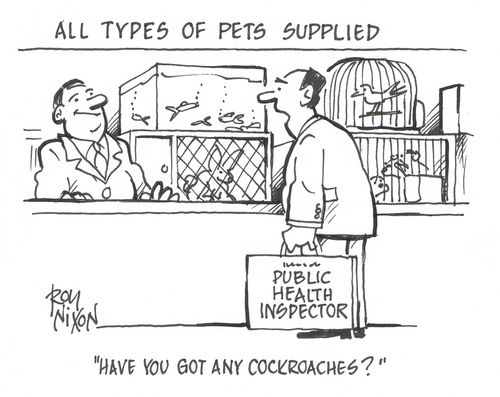 ''Have you got any cockroaches?"