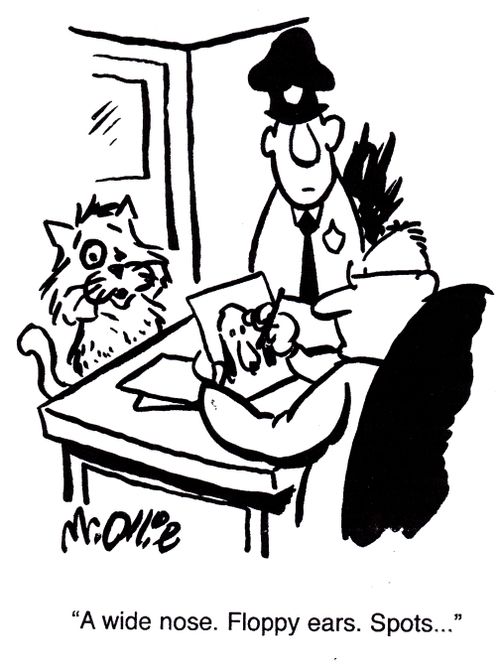 "A wide nose. Floppy ears. Spots..."