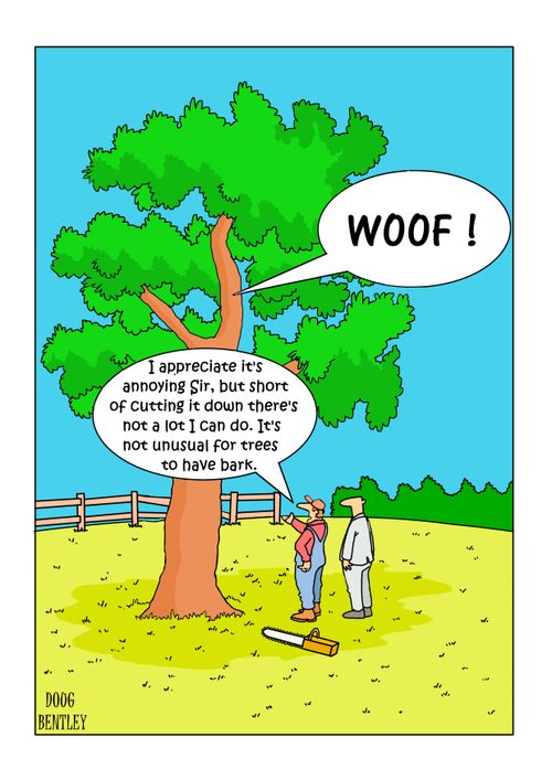 "I appreciate it's annoying Sir, but short of cutting it down there's not a lot I can do. It's not unusual for trees to have bark."