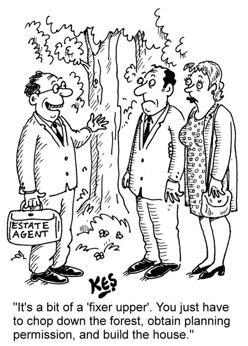 "It's a bit of a 'fixer upper'. You just have to chop down the forest, obtain planning permission, and build the house."