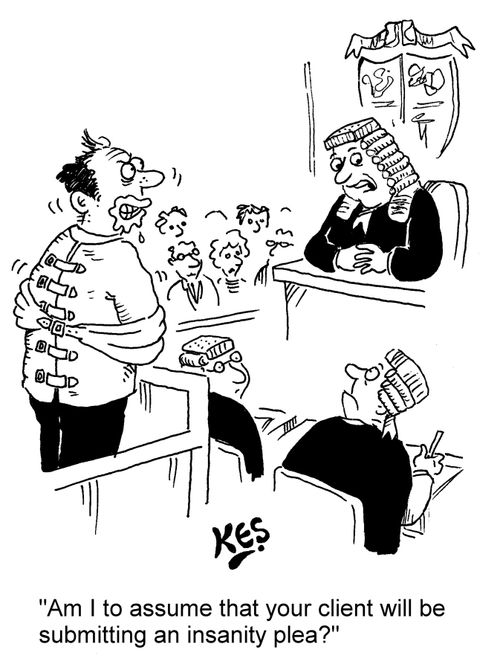 "Am I to assume that your client will be submitting an insanity plea?"