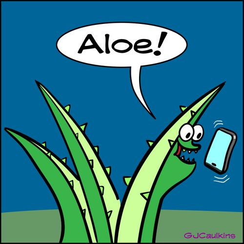 "Aloe!"