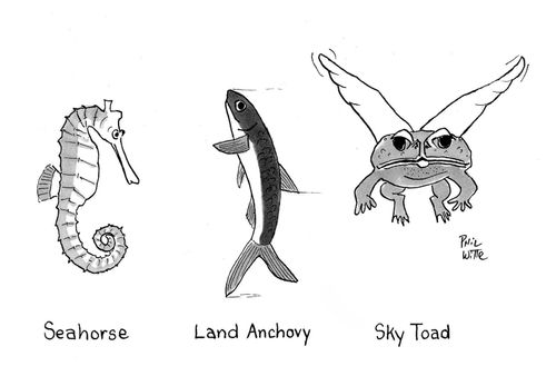 Seahorse, Land Anchovy, Sky Toad.