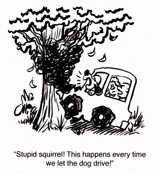 "Stupid squirrel! This happens every time we let the dog drive."