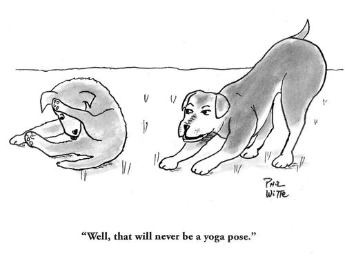 "Well, that will never be a yoga pose."