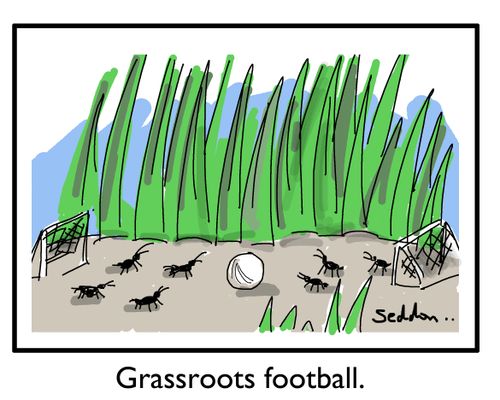 Grassroots football