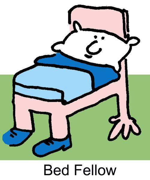 Bed Fellow