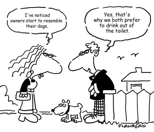 "I've noticed owners start to resemble their dogs."