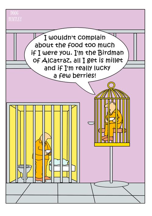 "I wouldn't complain about the food too much if I were you. I'm the Birdman of Alcatraz, all I get is millet and if I'm really lucky a few berries!"