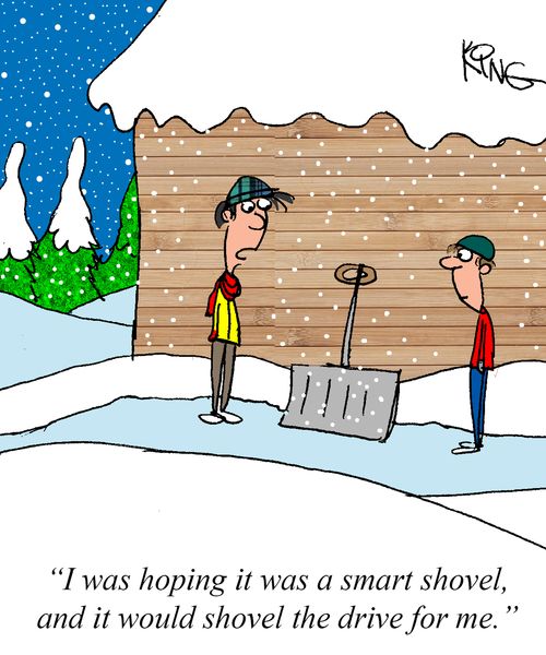 "I was hoping it was a smart shovel, and it would shovel the drive for me."