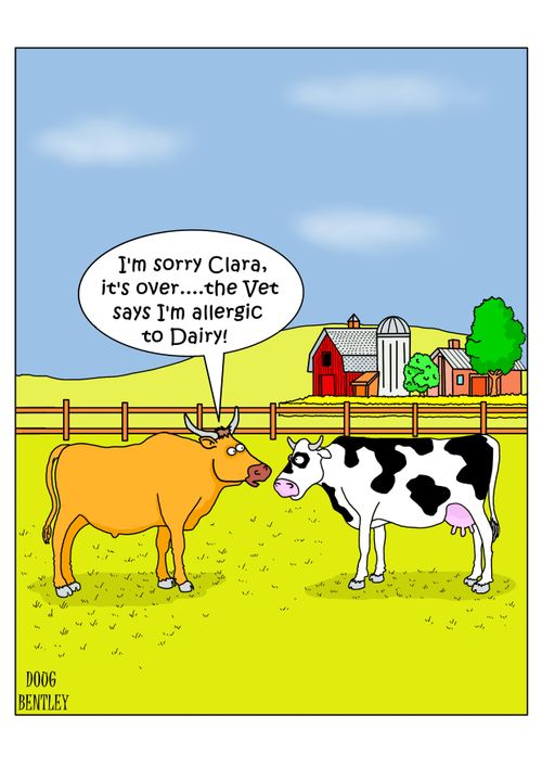 "I'm sorry Clara, it's over.....the Vet says I'm allergic to Dairy!"