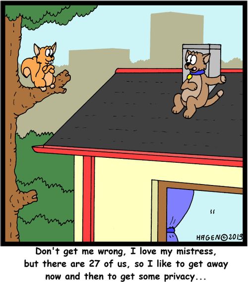"Don't get me wrong, I love my mistress, but there are 27 of us, so I like to get away now and then to get some privacy..."