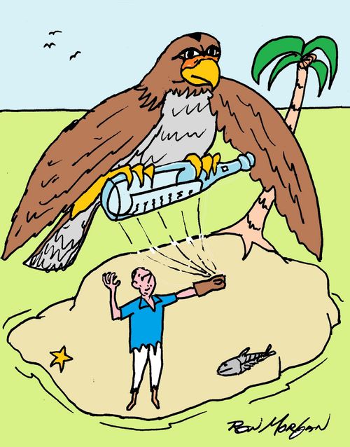 Stranded falconer send Falcon from deserted Island with a note in a bottle.