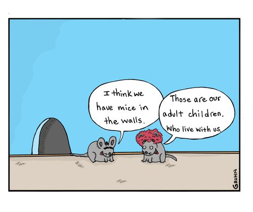 "I think we have mice in the walls."