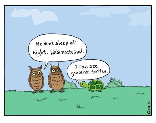 "We don't sleep at night. We're nocturnal."