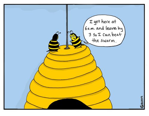 "I get here at 6 a.m. and leave by 3 so I can beat the swarm."