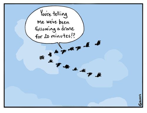"You're telling me we've been following a drone for 20 minutes!?"